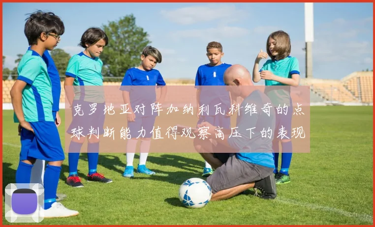 克罗地亚对阵加纳利瓦科维奇的点球判断能力值得观察高压下的表现