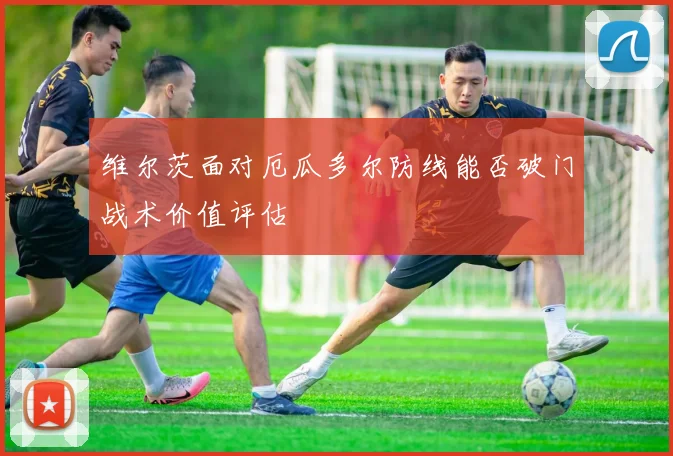 维尔茨面对厄瓜多尔防线能否破门战术价值评估