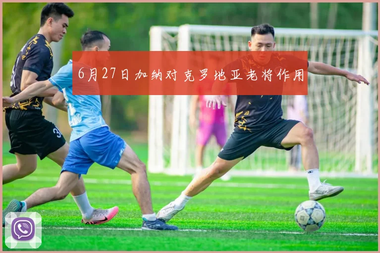 6月27日加纳对克罗地亚老将作用